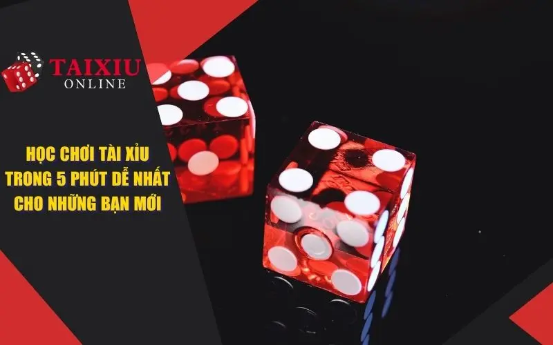 Học Chơi Tài Xỉu Trong 5 Phút Dễ Nhất Cho Những Tân Thủ