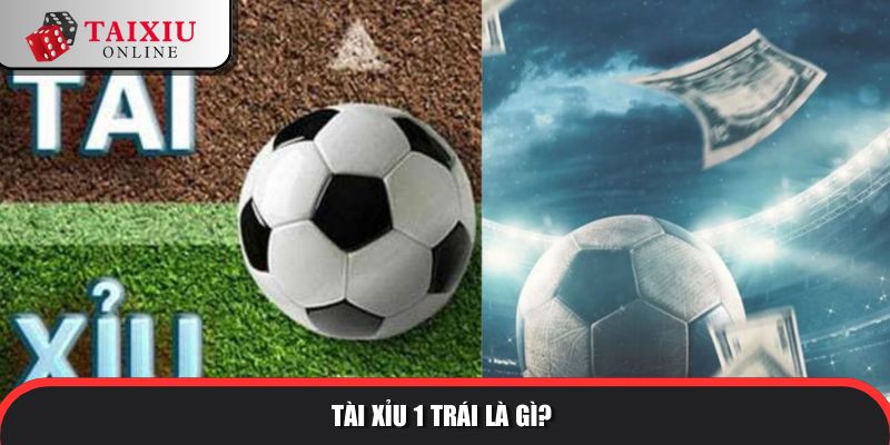 Tài Xỉu 1 Trái - Kinh Nghiệm Và Cách Chơi Cho Bet Thủ 